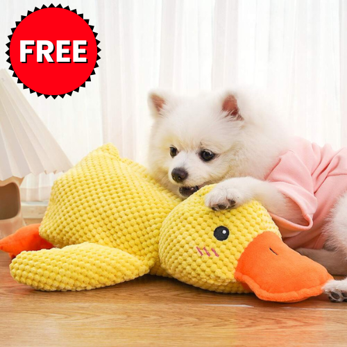 Quacko™ Calming Duck Toy
