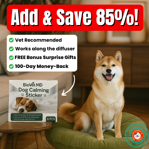 Complete The Diffuser With The Calming Stickers! (One-Time Offer)