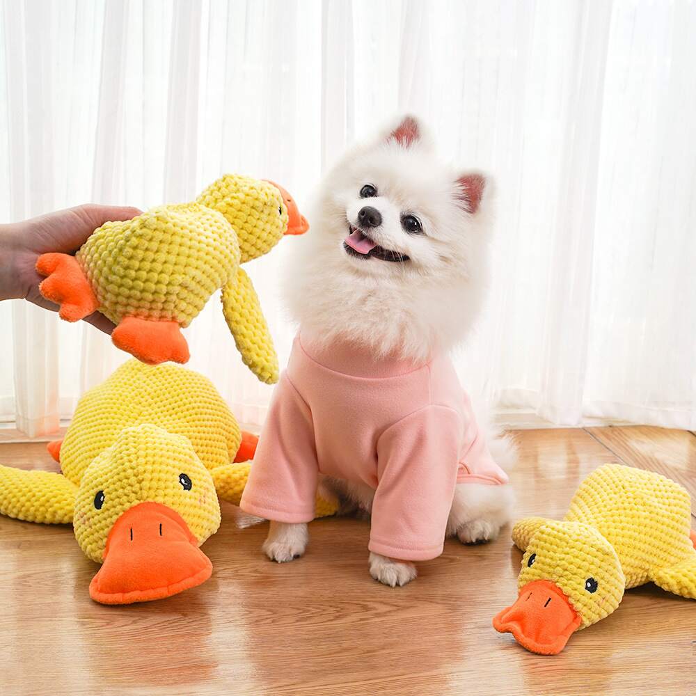 Quacko® Calming Duck (FREE Today)