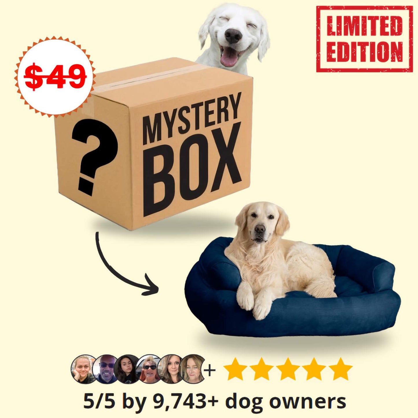 Mystery Dog Box (Free Shipping)