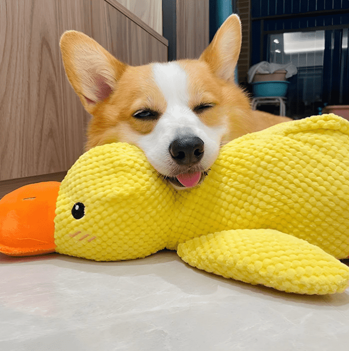 Quacko® Calming Duck Toy
