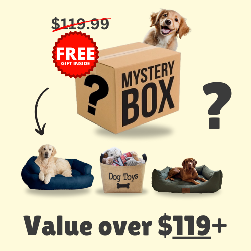 Mystery Dog Box (FREE Shipping)
