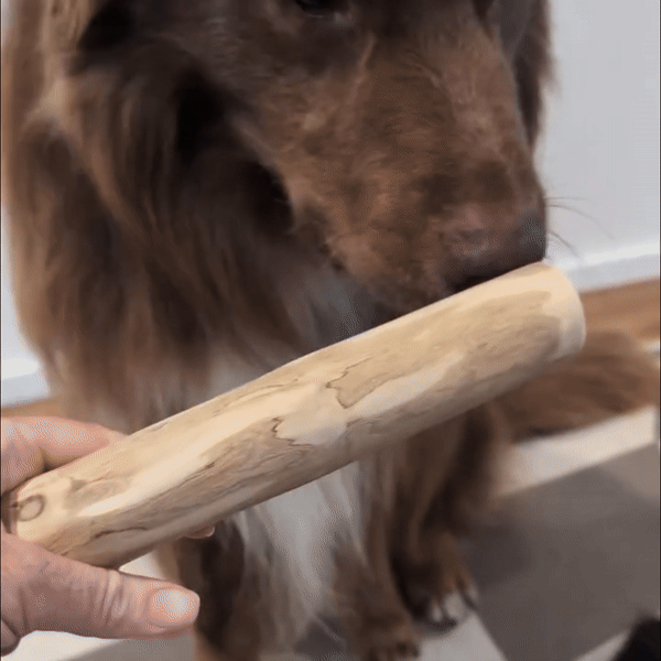 Natural Chew Sticks (FREE Today)