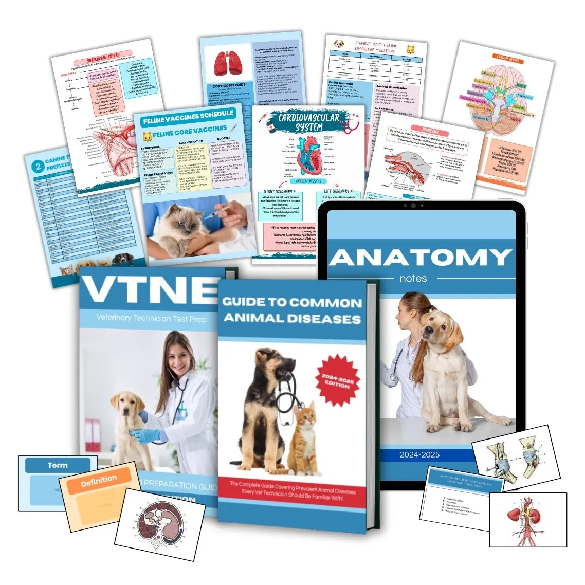 Vet Notes (FREE Today)