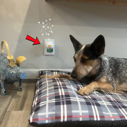 BioVet MD™ Dog Calming Diffuser Kit (FREE Today)