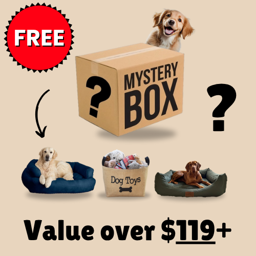 Mystery Dog Box