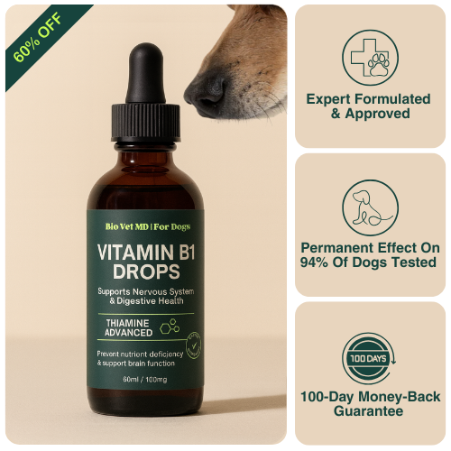 B1 Defense™ Targeted Vitamin Support