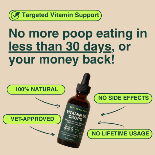 B1 Defense™ Targeted Vitamin Support