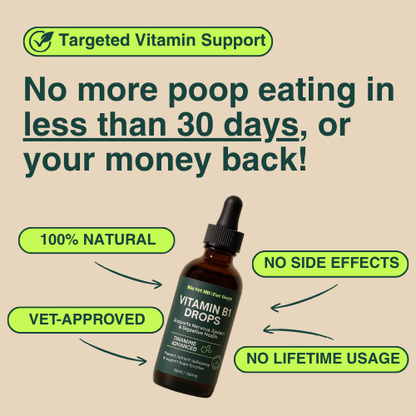 B1 Defense™ Targeted Vitamin Support