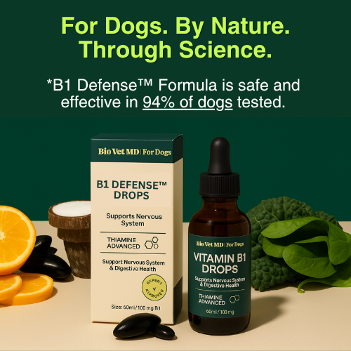 B1 Defense™ Targeted Vitamin Support