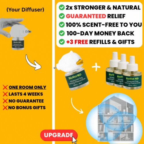 Entire Home 3-Month Protection! (One-Time Offer)