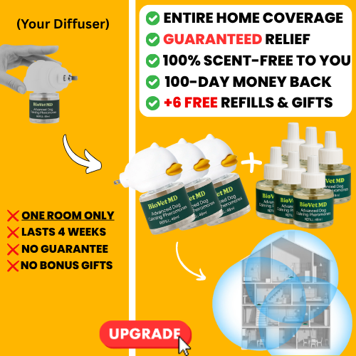 Upgrade To Entire Home Protection! (One-Time Offer)